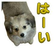 839432260