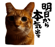 839432361