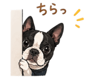 839432532