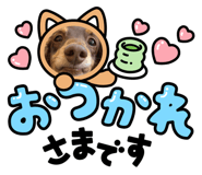 839432569