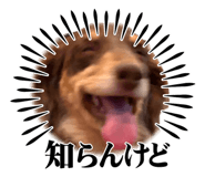 839432571