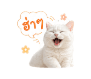 839439942