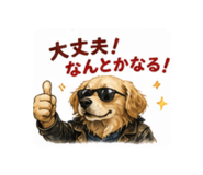 839440081