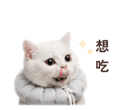839445224