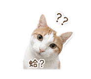 839445705