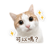 839445709