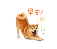 839445713