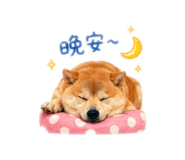 839445714
