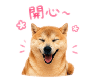839445715