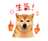 839445716