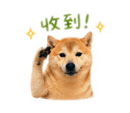 839445725