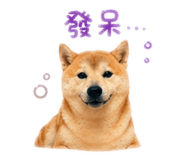 839445731