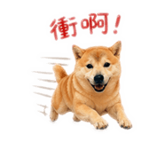 839445732