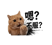 839445921