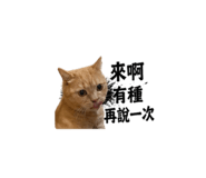 839445922