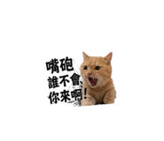 839445924