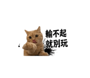 839445925