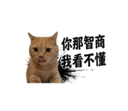 839445927