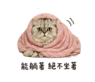 839446178