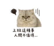 839446188