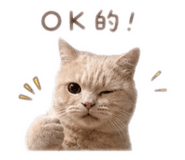 839446212