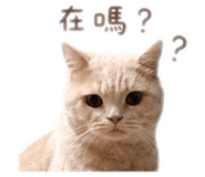 839446224