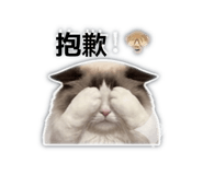 839446513