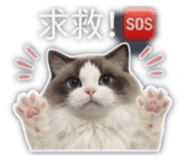 839446516