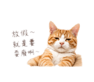 839446549