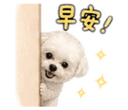 839446695