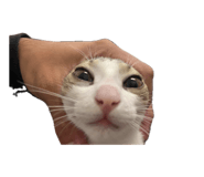 839447564