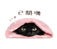 839447710