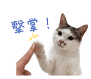 839447836