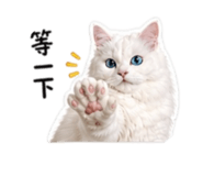 839448135