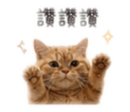 839448330