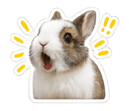 839448372