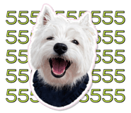 839448900