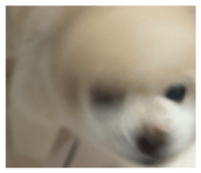 839448972