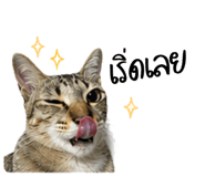 839449100