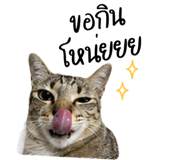839449105