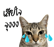 839449107