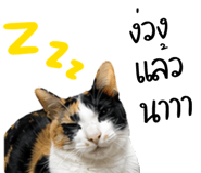 839449114