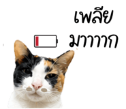 839449119