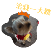 839449711
