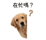839459312