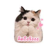 839459972