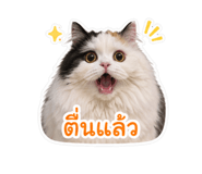 839459987