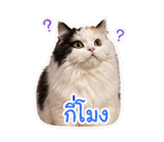 839459992