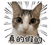 839466612
