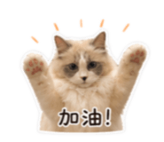 839466656